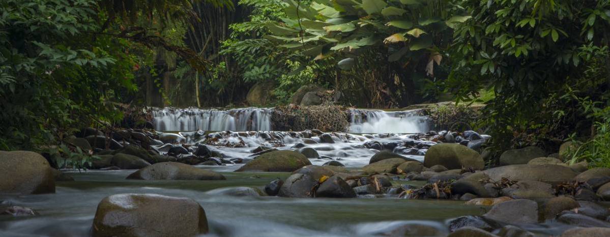 Malaysia Travel Guide Janda Baik